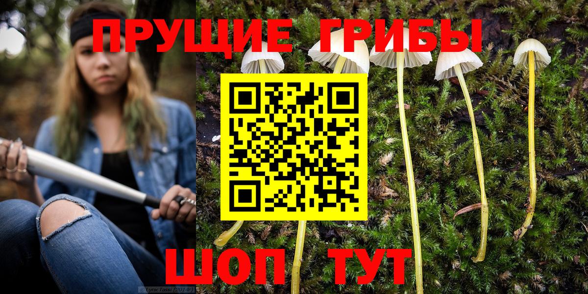 Псилоцибиновые грибы ЛСД  Вход с VPN  Черняховск 